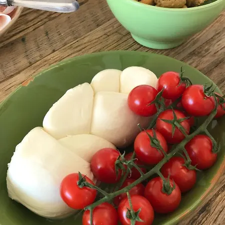 Bed & Breakfast Dimora Le Ginestre Adults Only