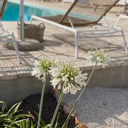 Dimora Le Ginestre Adults Only 4*