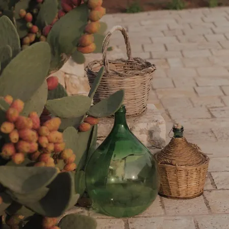 Dimora Le Ginestre Adults Only